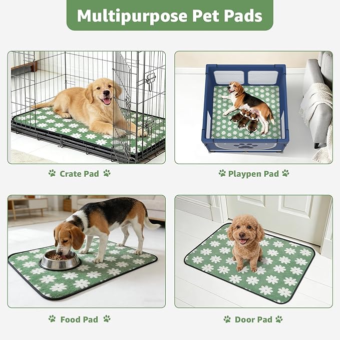 LOOBANI Washable Puppy Pads: Waterproof Reusable Pee Pads for Dogs, Non-Slip and Leak-Proof Dog Pee Mat, Absorbent Dog Training Pads for Puppy Playpen, Crate, Potty Training (36"x24", 2 Packs)
