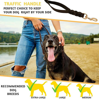 ADITYNA - Double Handle Leather Dog Leash 6ft - Heavy Duty Braided Dog Leash with Traffic Handle - Lead for Training and Walking Medium Large Breeds (Black, Two Handles 6 Foot x 3/4")