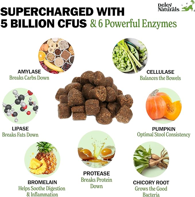 Deley Naturals Probiotics Plus Chews for Dogs - Gut Health Supplement with 5 Billion CFU's & Digestive Enzymes - Prebiotics for Dog Allergies, Diarrhea & Yeast - 90 Count Pumpkin Flavor Made in USA