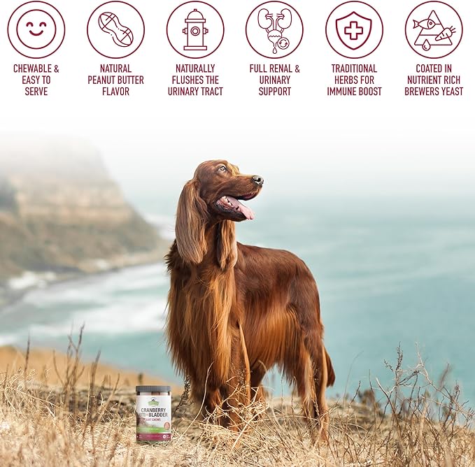 Strawfield Pets Cranberry Bladder & UTI Chews for Dogs D-Mannose + Vitamin C for Urinary Tract Support Peanut Butter Flavored Soft Chews 120 softchews