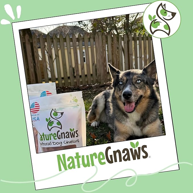 Nature Gnaws USA Turkey Tendon Rings for Dogs (8oz) - Delicious Grain Free Reward Snack for Small, Medium & Large Breeds - Premium Natural Dog Chew Treats