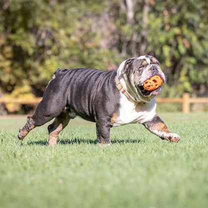 Chuckit! Air Fetch Football Dog Toy, Orange