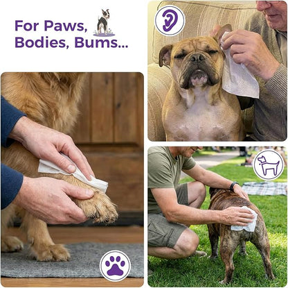 Extra Large 8“ x 13" Dog Wipes, Hypoallergenic, Lavender Scented, Plant-Based Grooming Wipes for Deodorizing & Hydrating Paws, Body, Butt, Ears & Coat - 360 Count