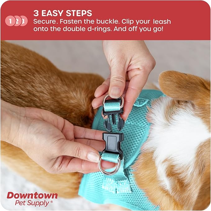 Downtown Pet Supply Step-in Dog Harness – No Pull, Adjustable Padded Mesh with Reflective Trim, Secure Buckle Strap – Comfortable & Breathable Small Dog Harness, Small, Light Blue