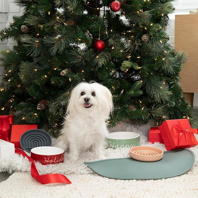 Should We Go - Waterproof Silicone Pet Food Mat - Non-Slip, Spill-Proof Feeding Mat for Floors, Raised Edge Design, Easy-to-Clean, Rubber Pad for Dog & Cat Bowls, 28" Across x 14" Deep, Large-Blush