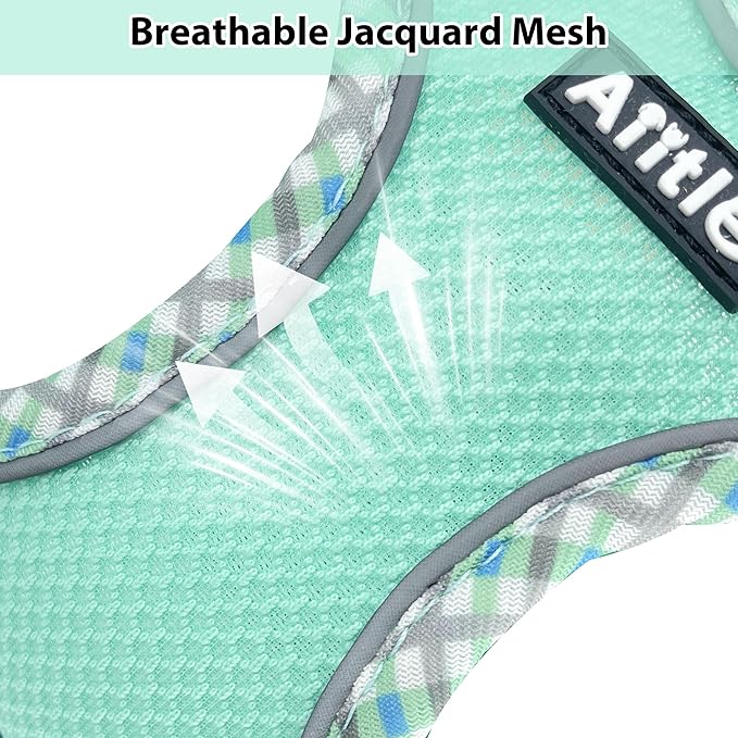 AIITLE Dog Harness and Leash Set - Ultra-Comfortable XXS-XL Vest with Strong Magic Tape & Glow-in-Dark Reflective Strips, Chafe-Free for Teddy, Schnauzer (Turquoise, M)