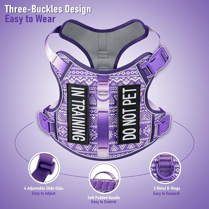 AUNZO Dog Harness for X-Small Dog Breed, Light Pet Vest Harness with 2 Leash Clips and 3 Buckles, Easy to Wear, Adjustable Reflective Soft Padded, Boston Terrier, Beagle, Poodles, XS