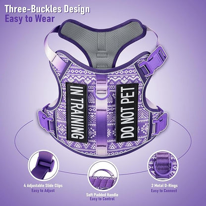 AUNZO Dog Harness for X-Small Dog Breed, Light Pet Vest Harness with 2 Leash Clips and 3 Buckles, Easy to Wear, Adjustable Reflective Soft Padded, Boston Terrier, Beagle, Poodles, XS