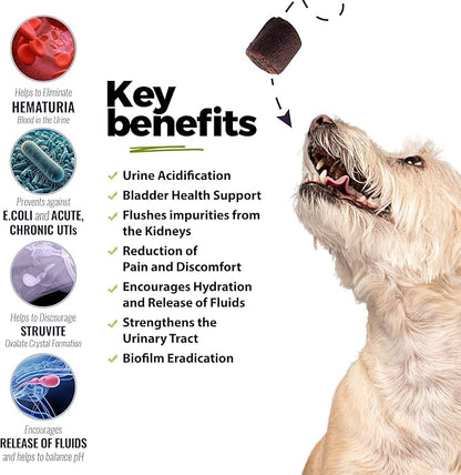 UroMAXX Dog Urinary Tract Infection Treatment, Bladder & Kidney Support for Dogs, Powerful Pet Care, Natural Soft Chews with Cranberry & Glucosamine, Made in The USA, Chicken Flavor, 90 Count, 2 Pack