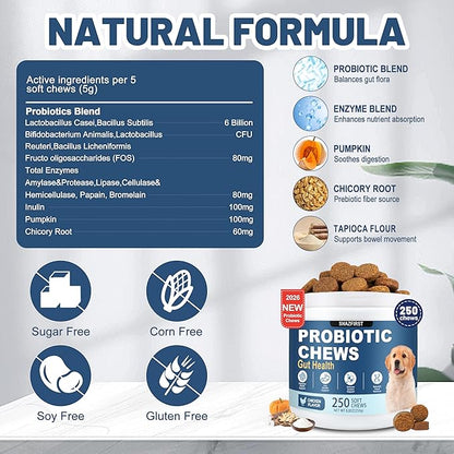 Probiotics for Dogs, Dog Probiotics Chews for Digestive Health & Gut Health, Improve Immune System,Constipation & Diarrhea Relief(Chicken Flavor, 250 Chews)