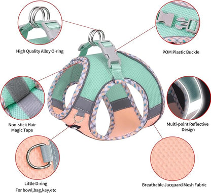 AIITLE Teacup Puppy Harness with Leash - Adjustable Soft Vest with Magic Tape & Reflective Safety Strips, Easy-Put-On for Poodles, Pomeranians - Gym, Hiking, Travel (Turquoise-Pink, S)