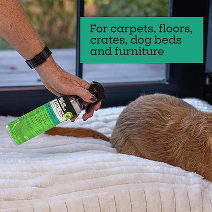 Pet Life Unlimited Flea & Tick Spray for Home, 16 oz, Plant-Based Indoor Prevention and Treatment for Dogs, Kill & Repel Fleas, Ticks & Eggs, Protection for Carpet, Furniture & Bedding