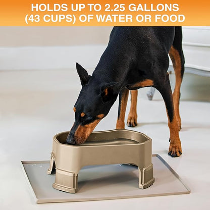Neater Pet Brands Extra Large Water Bowl for Dogs, Elevated Outdoor Dog Water Bowl (2.25 Gallon XL Capacity), Big Trough Style Food Dish for Indoors or Outside, No Spill Large Dog Bowls, Champagne
