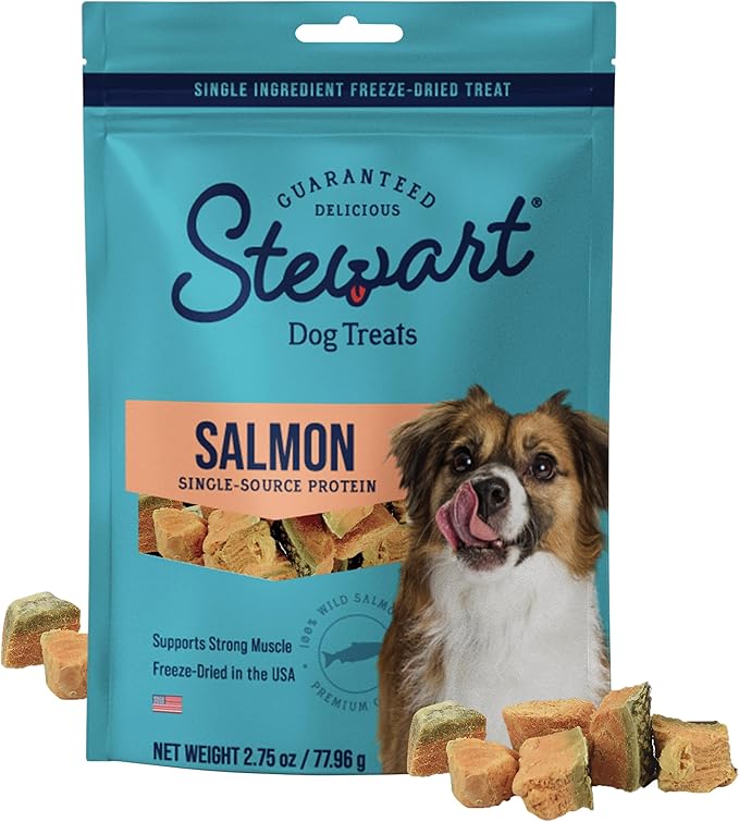 Stewart 100% Wild Salmon Dog Treats, 2.75 oz Pouch, ~55 Pieces, Freeze Dried Raw, Single Ingredient, 65% Protein Training Treats or Meal Topper, Grain Free, Gluten Free