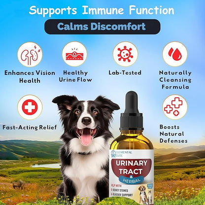 EDUZEBRA Urinary Tract Health Treatment for Dogs & Cats – Natural Herbal UTI Support Drops with Cranberry Extract – Promotes Bladder, Kidney & Digestive Wellness – Support Renal Function