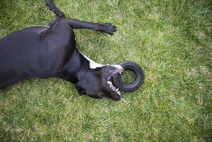 Mammoth TireBiterII – Natural Rubber Dog Toys for Extreme Chewers – Dog Toys for Extra Long Interactive Play – Aggressive Chewer Toys for Large - X-Large Dogs - X-Large 7”