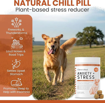 Calming Chews for Dogs - 60 Anxiety Relief Treats for Fireworks, Thunder, and Storms - Natural Dog Calming Treats for Large and Small Breeds with Thiamine, L-Tryptophan, Ginger, and Melatonin