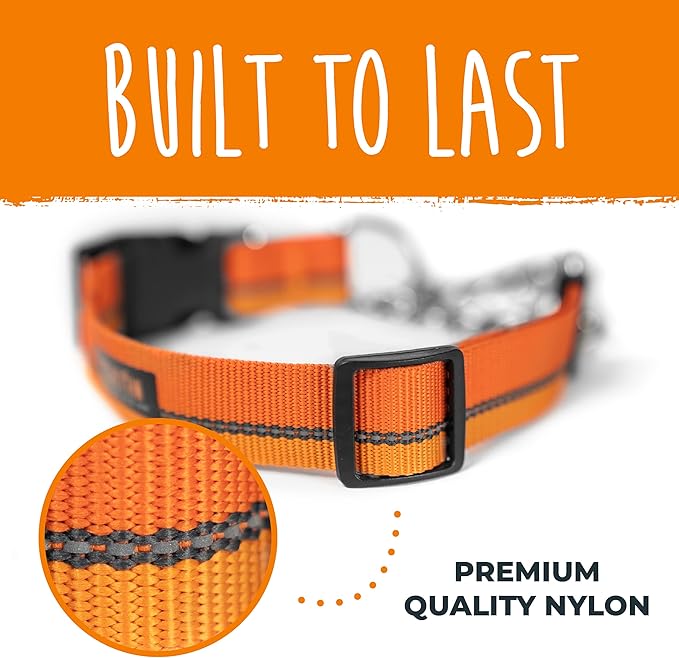 Mighty Paw Martingale Dog Collar 2.0 | Trainer Approved Limited Slip Collar with Stainless Steel Chain & Heavy Duty Buckle - Modified Cinch for Gentle & Effective Pet Training - Large, Orange