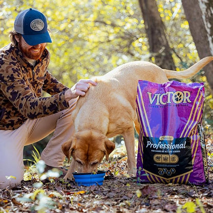 VICTOR Super Premium Dog Food – Professional Dry Dog Food – Super Premium Kibble with 26% Protein – Gluten-Free with Beef, Chicken & Pork Meals – for High Energy and Active Dogs & Puppies, 15lbs