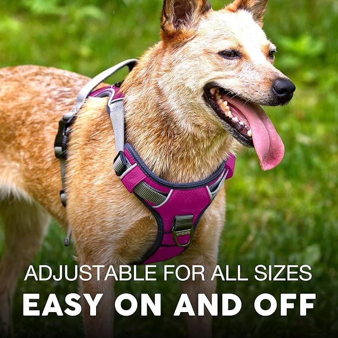 Embark Adventure Dog Harness for Medium Dogs – No Pull, Reflective Trim, Military Grade Nylon, Front Clip, Gel-Lined Handle