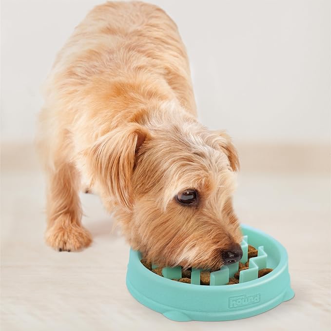 Outward Hound Fun Feeder Slo Bowl – Small 3/4-Cup Capacity, Slow Feeding, Small Dogs, Puppies & Cats, Non-Slip, Mint, Wave Pattern