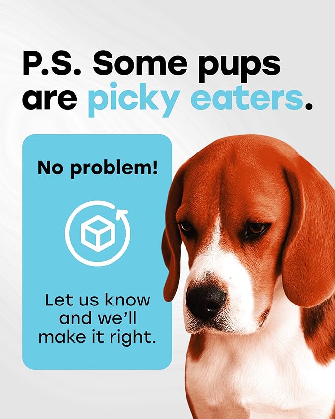 Probiotics for Dogs – Gut Health Support for Less Gas, Better Digestion & Regular Stools – Soft Beef Chews with Digestive Enzymes, Prebiotics & Fiber – 140 Count