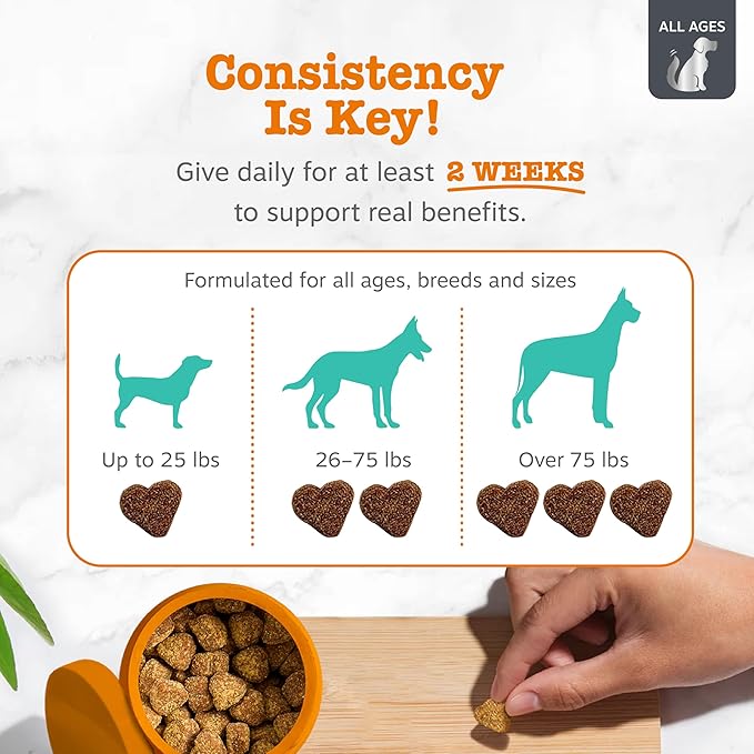 Zesty Paws Vet Strength Calming Chews for Dogs - for Everyday Stress, Relaxation, Composure, and Separation Smoked Turkey 90 Count