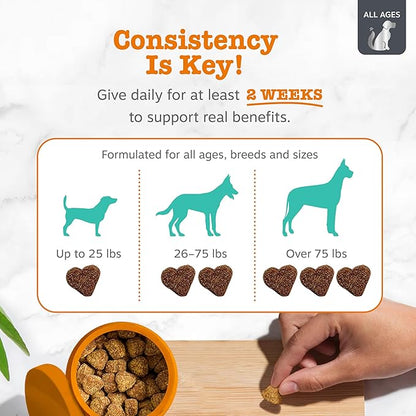 Zesty Paws Vet Strength Calming Chews for Dogs - for Everyday Stress, Relaxation, Composure, and Separation Smoked Turkey 90 Count