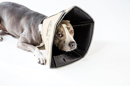 All Four Paws Comfy Cone Pet Cone for Dogs, Cats, X-Large, Tan - Comfortable Soft Dog Cone Collar Alternative for After Surgery, Wound Care, Spay, Neuter - Dog and Cat Recovery Elizabethan-Collar