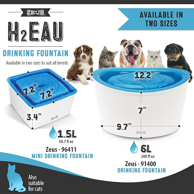Zeus Fresh & Clear Elevated Dog and Cat Water Dispenser, Large Drinking Water Fountain with Purifying Filter, 6L Capacity, 1 Count (Pack of 1)