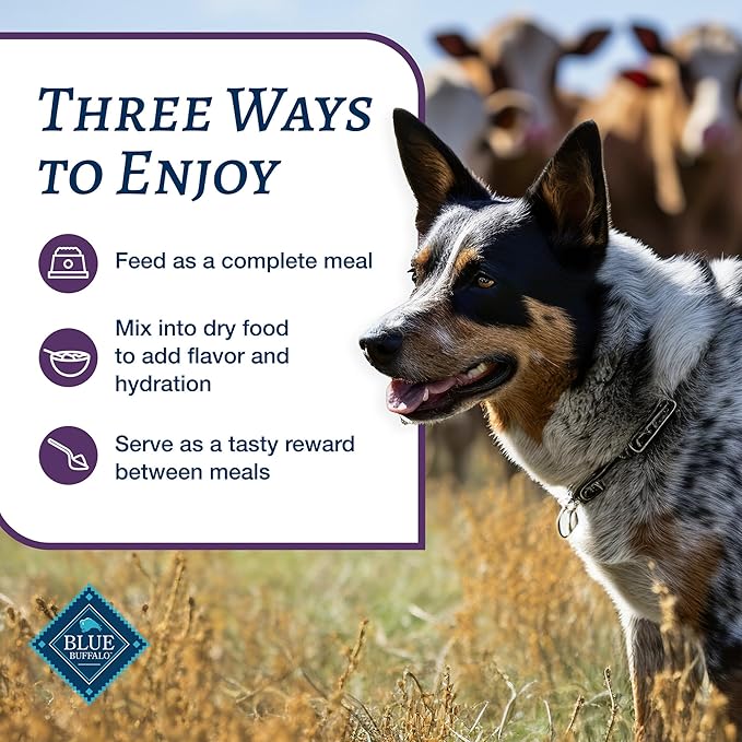 Blue Buffalo Family Favorites Adult Wet Dog Food, Made with Natural Ingredients, Shepherd's Pie, 12.5-oz Can (Pack of 12)