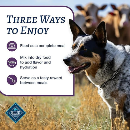 Blue Buffalo Family Favorites Adult Wet Dog Food, Made with Natural Ingredients, Shepherd's Pie, 12.5-oz Can (Pack of 12)
