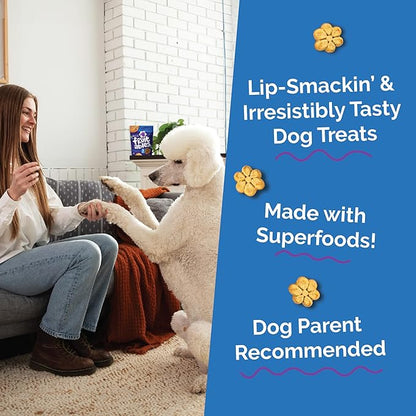 Fruitables Baked Dog Treats, Pumpkin Snacks for Dogs, Low Calorie & Delicious, No Wheat, Corn or Soy, Healthy Puppy Training Treats, Made in The USA, Pumpkin and Blueberry Flavor, 20oz