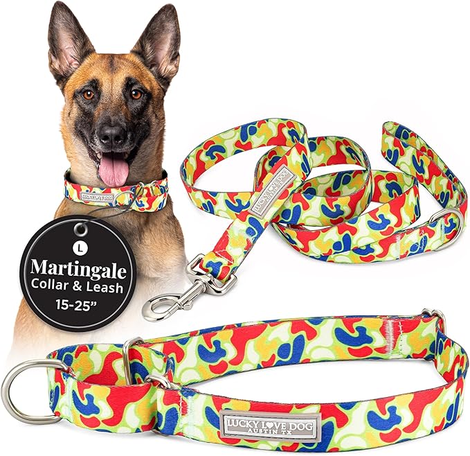 Lucky Love Dog Martingale Dog Collar & Leash - Adjustable, No-Slip, Durable, Comfortable, Soft Webbing, & Stylish Patterned Collar & Leash Set for Male and Female Dogs - Oscar Combo, Large