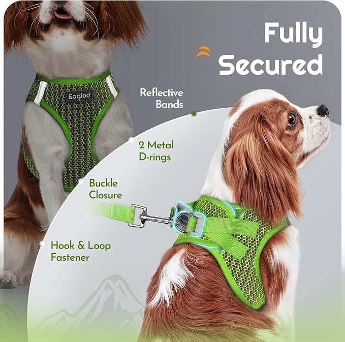 Eagloo Small Dog Harness and Leash Set, Step in Puppy Vest with Breathable Soft Mesh, Walking Reflective Pet Harness for Small Dogs, Green, S