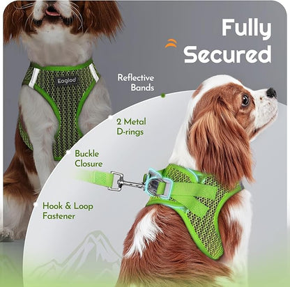 Eagloo Small Dog Harness and Leash Set, Step in Puppy Vest with Breathable Soft Mesh, Walking Reflective Pet Harness for Small Dogs, Green, XS