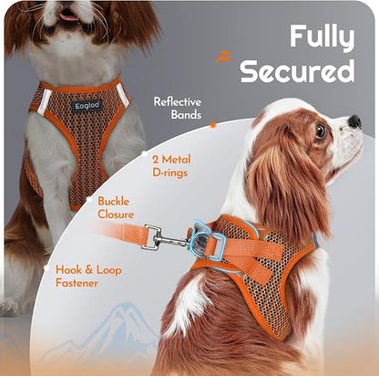 Eagloo Small Dog Harness and Leash Set, Step in Puppy Vest with Breathable Soft Mesh, Walking Reflective Pet Harness for Small Dogs, Orange, M