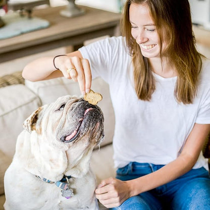 Cloud Star Wag More Bark Less Crunchy Grain Free Dog Treats, Assorted Flavors, 14 oz. Box