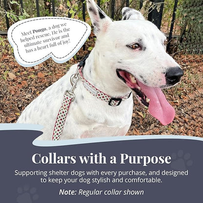 Lucky Love Dog Martingale Dog Collar - Adjustable, No-Slip, Durable, & Soft Webbing Collar for Male and Female Dogs Ideal for Training & Walking - in Unique Pongo Pattern, Small