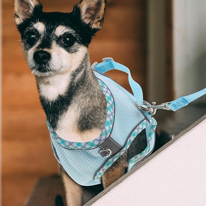 COLLBATH Adjustable Reflective Dog Harness Vest and Leash Set, Portable Lightweight Puppy Harness for Large Dogs, Soft Breathable Blue L Size, Outdoor Walking and Training Equipment
