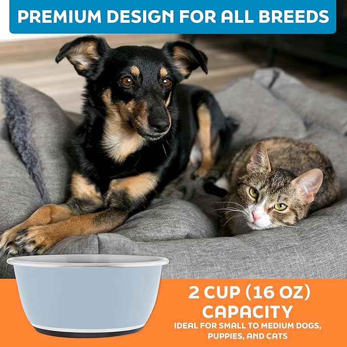 Master Pet Supply Stainless Steel Dog Bowls Set of 2 (16 Oz Each) with Non-Slip Rubber Base - Glacier Blue - Basic Dog Food Bowl Water & Food Bowls for Small Medium Large Dogs & Cats, Metal Dish