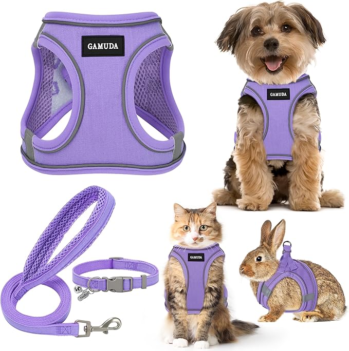 GAMUDA Small Pet Harness Collar and Leash Set, Step in No Chock No Pull Linen Fabric Soft Mesh Dog Vest Harnesses Reflective for Dogs Puppy Cats Kitten Rabbit (Purple, XXS)