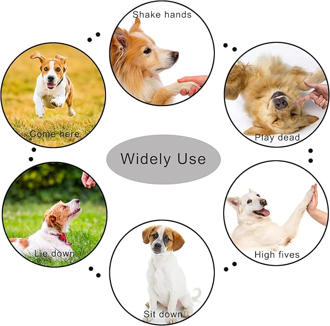 Pet Clicker for Dogs/Cats/Horses/Birds or Other Animals - Clickers for Training (Blue + Green)