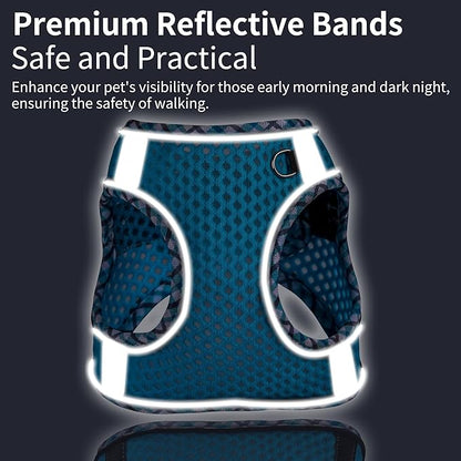 Summer Dog Harness and Leash Set, Soft Dog Vest Harness with Super Breathable Diamond Mesh, Reflective No-Pull Pet Harness for Outdoor Walking, Training for Small Dogs, Cats Blue XXS