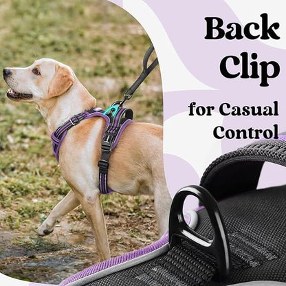 rabbitgoo Dog Harness Small Sized, No Pull Pet Harness with 3 Buckles, Adjustable Soft Padded Vest with Control Handle, Walking Reflective Pet Vest for Small Dogs, Black & Purple, S