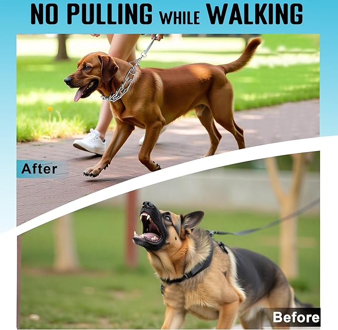 MOZETO Dog Collar, Adjustable Quick Release Stainless Steel Dog Training Collar with Metal Buckle for Small Medium Large Dogs