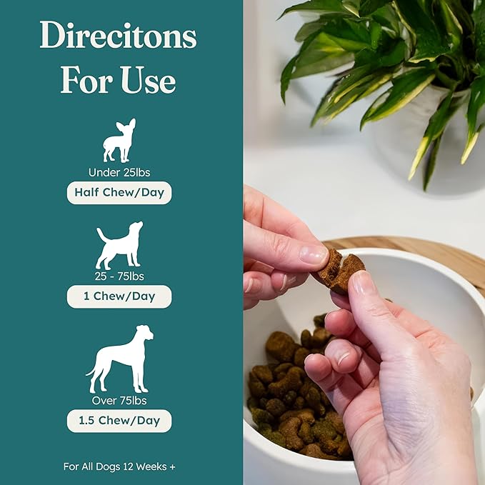 PetHeal Kidney Guard Chews for Dogs - Vet-Reviewed - Supports Renal Health & Energy with Astragalus, Cordyceps, Dong Quai & Rehmannia | Promotes Kidney Function & Detox | 30 Soft Chews, Pork Flavor