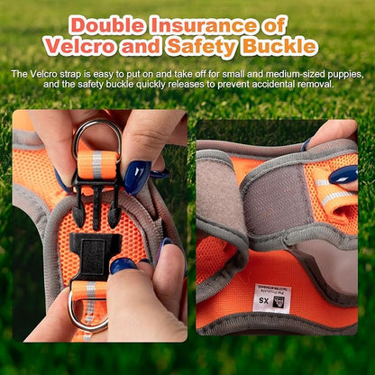Dog Harness Medium Sized Dogs, Puppy Harness and Leash Set for Training, Running, Walking, Suitable for Small and Medium Dog Vest, Orange, M