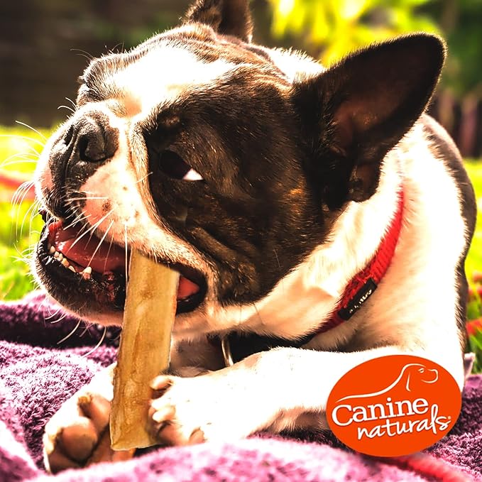 Canine Naturals Beef Chew - Rawhide Free Dog Treats - Made With Real Beef - Poultry Free Recipe - All-Natural and Easily Digestible - 10 Pack of 5 Inch Stick Chews