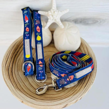 Lucky Love Dog - Easy Click Buckle Dog Collar with Leash Set Combo, Durable & Comfortable for Male & Female Dogs, Pet Collar for Medium Dogs, Secure Fit - Mackey Combo, Medium